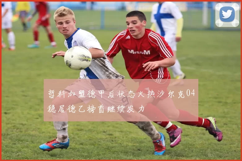 哲科加盟德甲后状态火热沙尔克04稳居德乙榜首继续发力